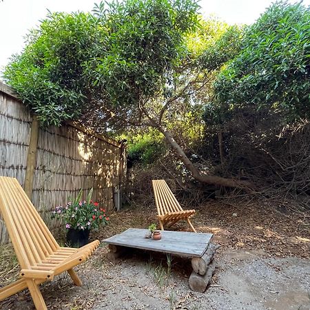 El Arbol Eco Lodge La Serena Bagian luar foto