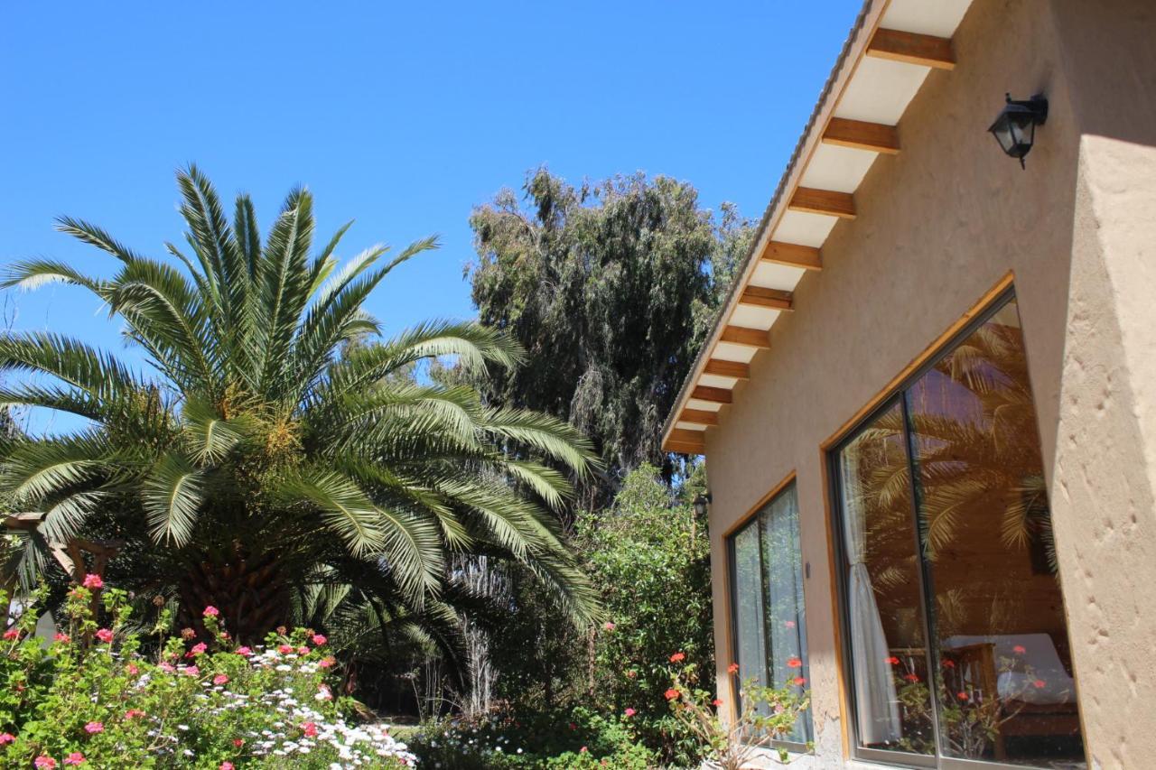 El Arbol Eco Lodge La Serena Bagian luar foto