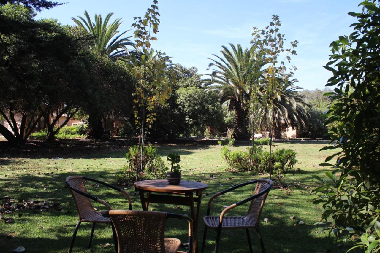 El Arbol Eco Lodge La Serena Bagian luar foto