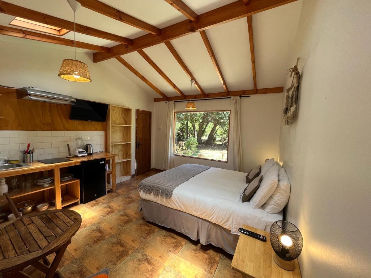 El Arbol Eco Lodge La Serena Bagian luar foto