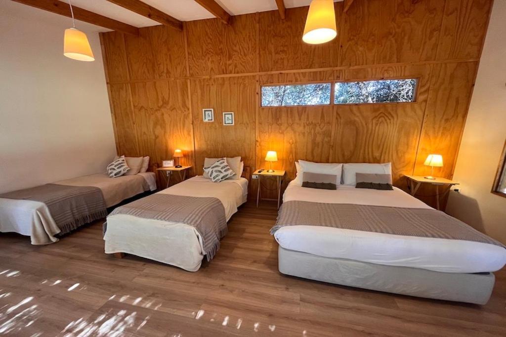 El Arbol Eco Lodge La Serena Bagian luar foto
