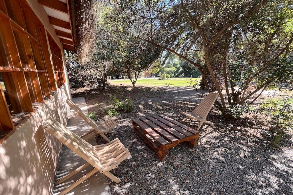El Arbol Eco Lodge La Serena Bagian luar foto