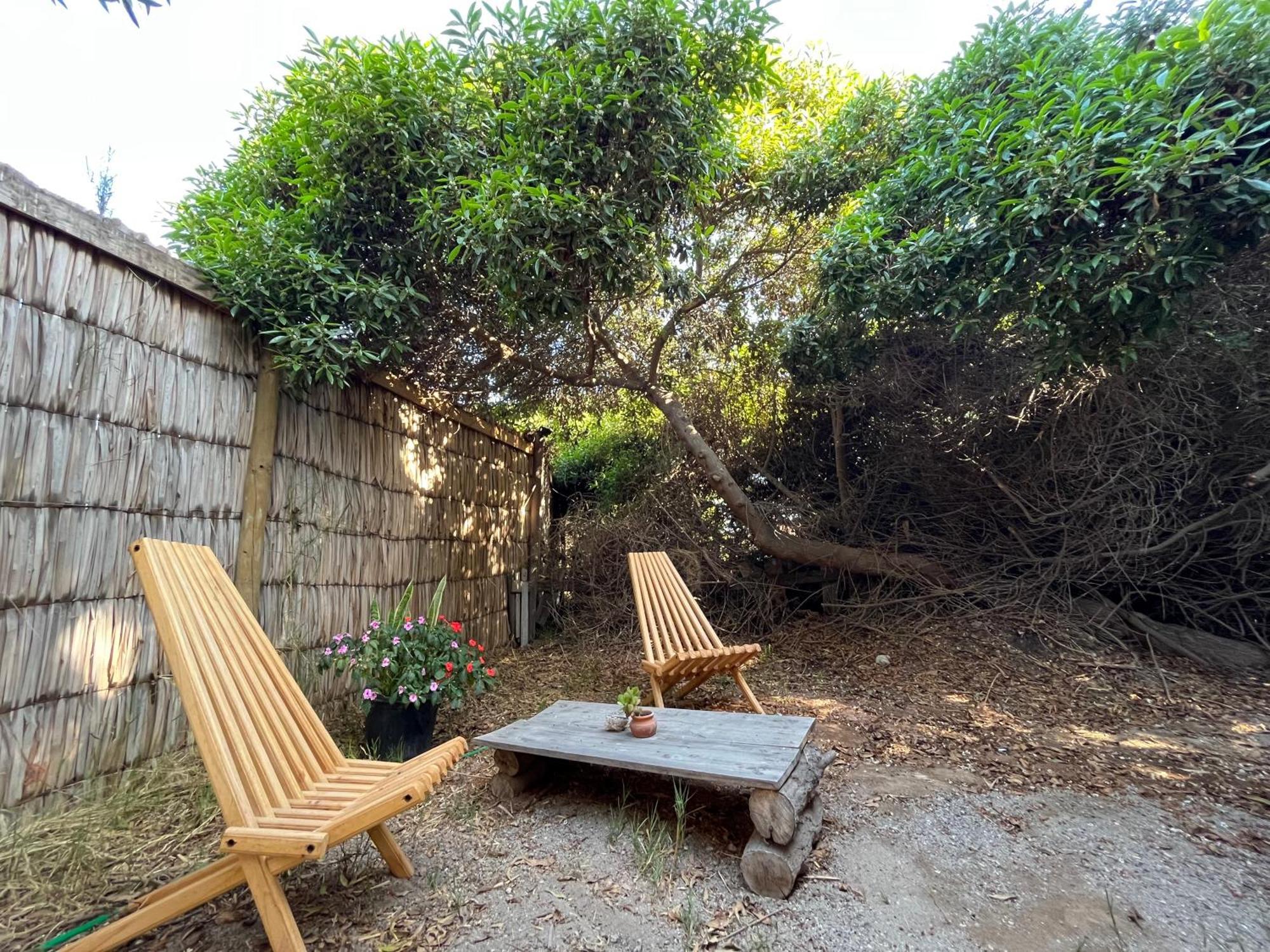 El Arbol Eco Lodge La Serena Bagian luar foto
