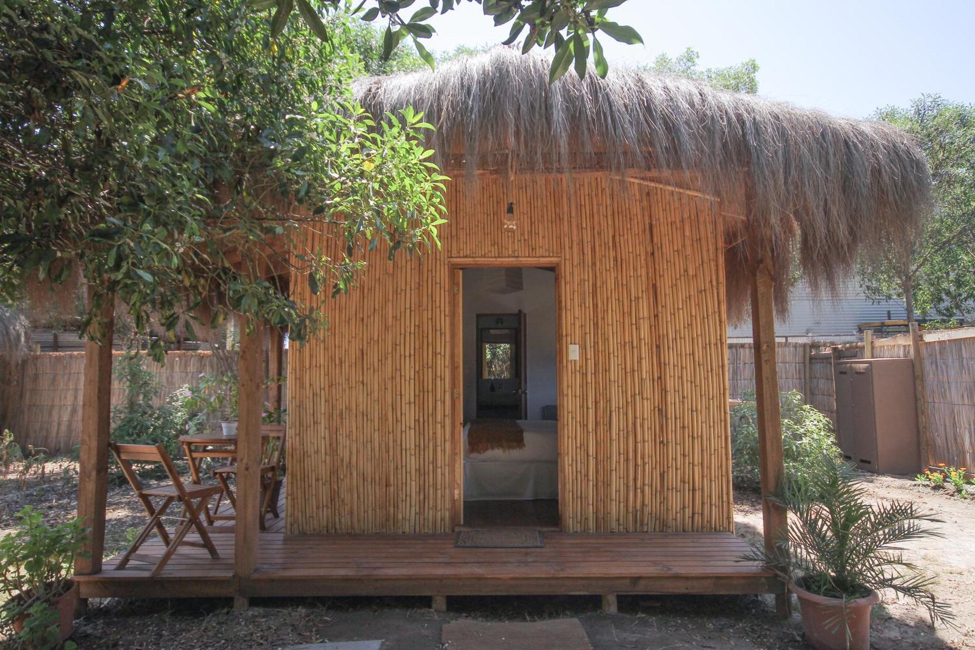 El Arbol Eco Lodge La Serena Bagian luar foto